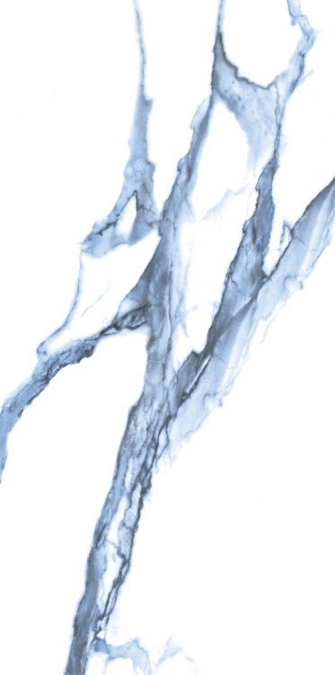 Calacatta Blue Matte 12 x 24